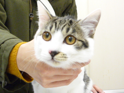 ペット写真館 有田動物病院 兵庫県豊岡市