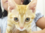 1501890541.jpg