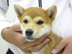 1508595604.jpg