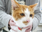 1541990886.jpg