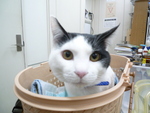1549200429.jpg