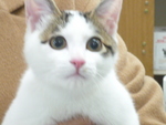 1580631155.jpg