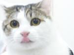 1303639049.jpg