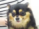 1305044253.jpg