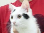 1378166566.jpg