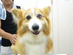 1409406432.jpg