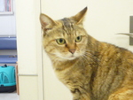 1412513105.jpg
