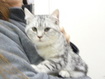 1420644340.jpg