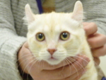 1421503156.jpg