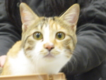 1421754230.jpg