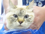 1430663725.jpg