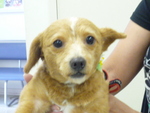 1438090871.jpg