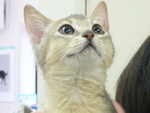 1456579118.jpg
