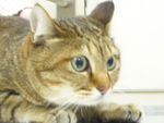 1457450300.jpg