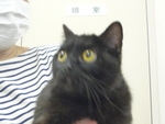 1465220066.jpg