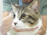 1474127094.jpg