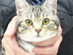 1486045201.jpg
