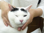 1494075516.jpg